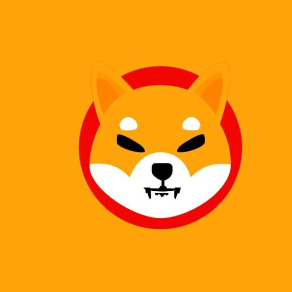 How To Buy Shiba Inu Coin In India